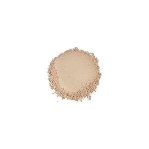 Enviroscreen® Protection Brush-On Shield SPF 50
