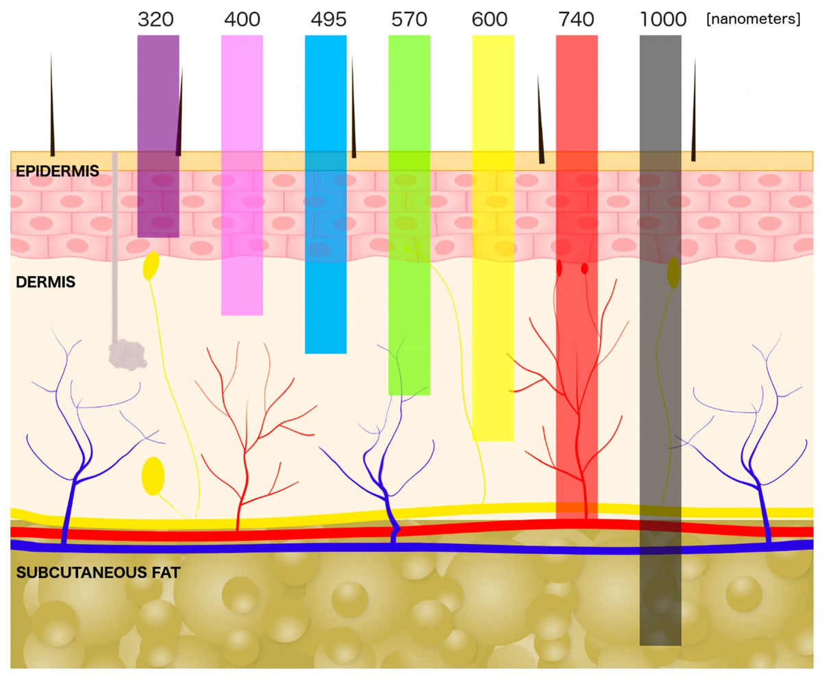 Reduction of Oxidative Stress & Inflammation